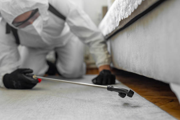 Professional Mosquito Control technician working in Cambridge Springs, PA
