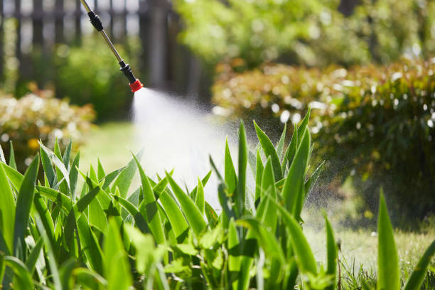24/7 Emergency Mosquito Control experts in Cambridge Springs, PA