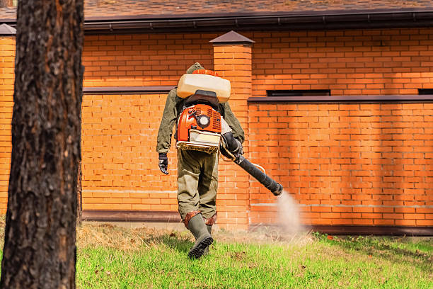 Trusted Emergency Pest Control service in Cambridge Springs, PA - Nex Pest Control